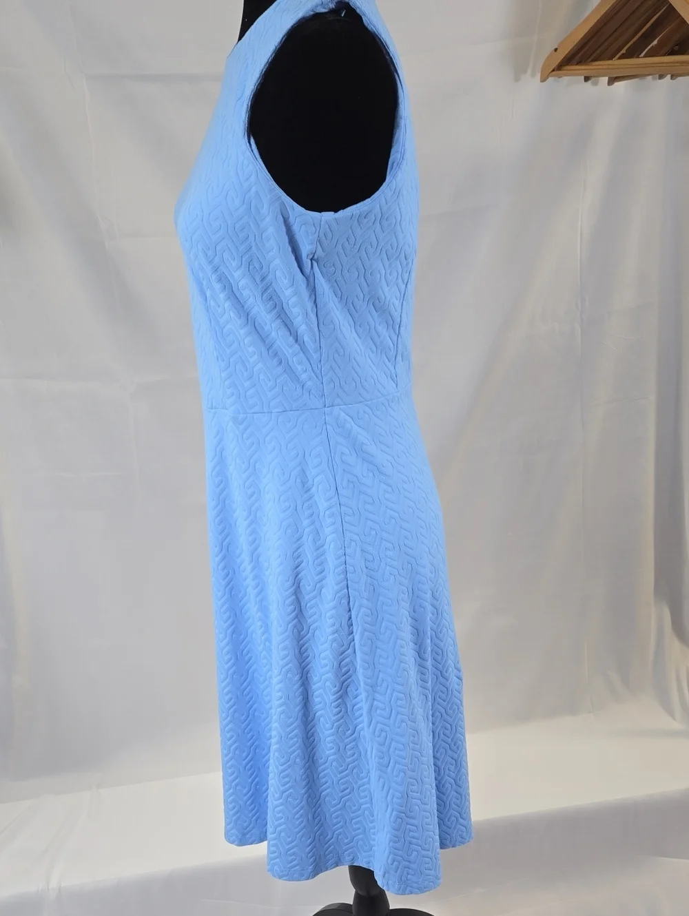 J. McLaughlin Catalina Cloth Light FrenhBlue Fit & Flare Dress Small - Picture 2 of 5